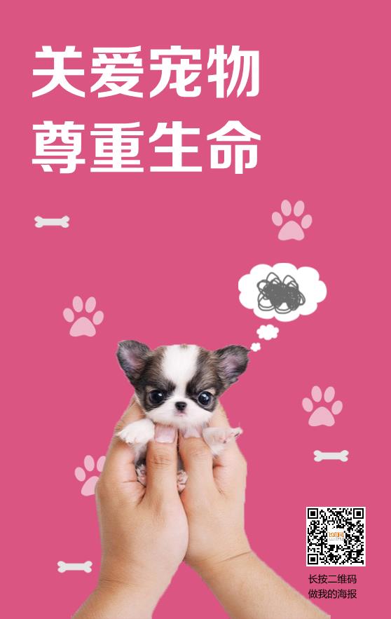 关爱宠物知识宣传海报模板下载