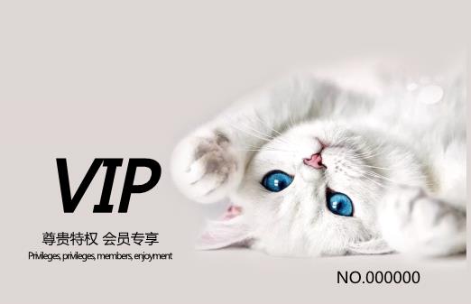 宠物猫VIP会员卡模板下载